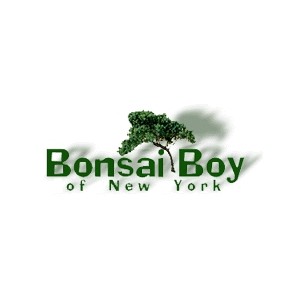 Bonsai Boy of New York - Cashback & Coupon